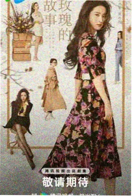 总裁的长青前妻